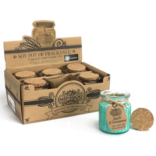 Apple & Cinnamon Soy Pot of Fragrance Candle (x2) - Quiet Rituals