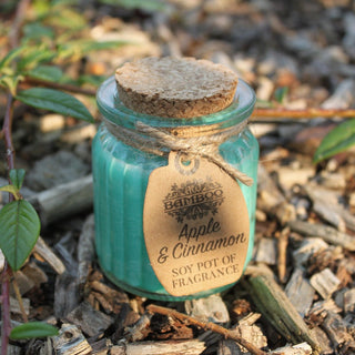 Apple & Cinnamon Soy Pot of Fragrance Candle (x2) - Quiet Rituals