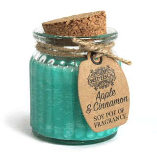 Apple & Cinnamon Soy Pot of Fragrance Candle (x2) - Quiet Rituals