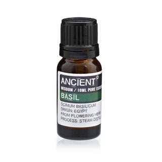 Basil Essential Oil (10 mL) - Quiet Rituals
