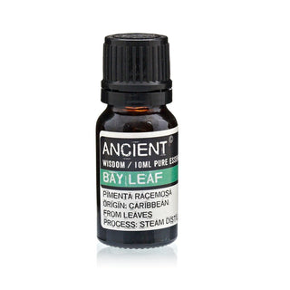 Bay Leaf Essential Oil (10 mL) - Quiet Rituals
