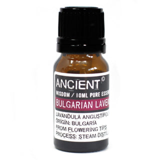 Bulgarian Lavender Essential Oil (10 mL) - Quiet Rituals