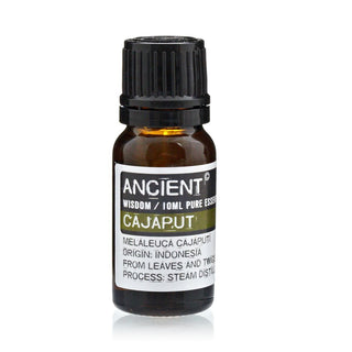 Cajaput Essential Oil (10 mL) - Quiet Rituals