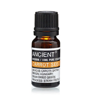 Carrot Seed Essential Oil (10 mL) - Quiet Rituals