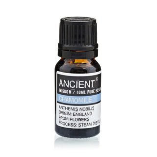 Chamomile Roman (Pure) Essential Oil (10 mL) - Quiet Rituals