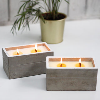 Clove & Dark Sandalwood - Wooden Wick Concrete Candle - Quiet Rituals