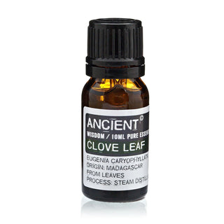 Clove Leaf Essential Oil (10 mL) - Quiet Rituals