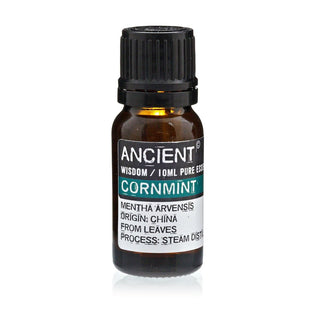 Cornmint Essential Oil (10 mL) - Quiet Rituals