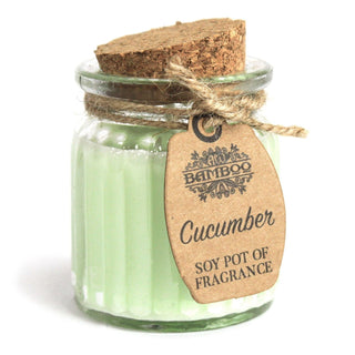 Cucumber Soy Pot of Fragrance Candle (x2) - Quiet Rituals