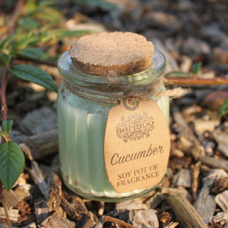 Cucumber Soy Pot of Fragrance Candle (x2) - Quiet Rituals