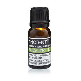 Eucalyptus Essential Oil (10 mL) - Bubble & Wick
