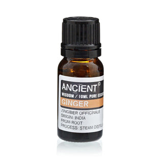 Ginger Essential Oil (10 mL) - Quiet Rituals