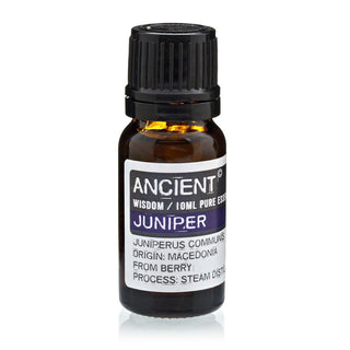 Juniperberry Essential Oil (10 mL) - Quiet Rituals