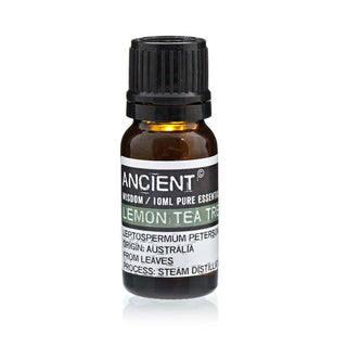 Lemon Tea Tree Essential Oil (10 mL) - Quiet Rituals