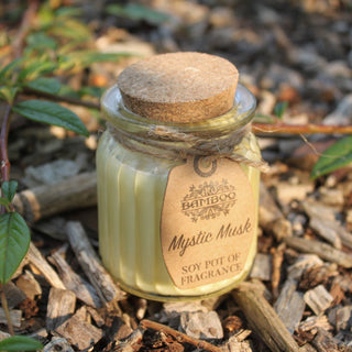 Mystic Musk Soy Pot of Fragrance Candle (x2) - Quiet Rituals