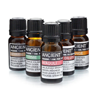 Niaouli Essential Oil (10 mL) - Quiet Rituals