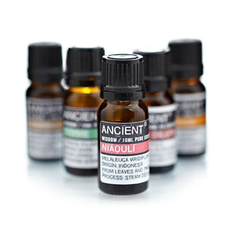 Niaouli Essential Oil (10 mL) - Quiet Rituals