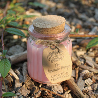 On Jasmine Wings Soy Pot of Fragrance Candle (x2) - Quiet Rituals