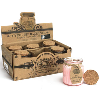 On Jasmine Wings Soy Pot of Fragrance Candle (x2) - Quiet Rituals