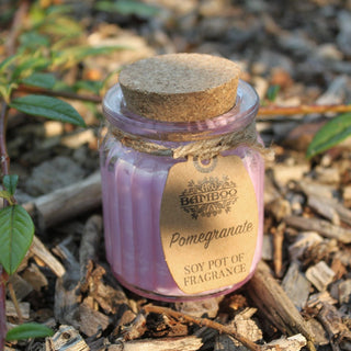 Pomegranate Soy Pot of Fragrance Candle (x2) - Quiet Rituals