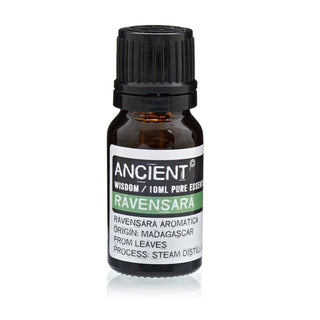 Ravensara Essential Oil (10 mL) - Quiet Rituals