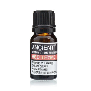 Red Thyme Essential Oil (10 mL) - Quiet Rituals