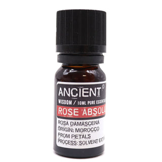 Rose Absolute Essential Oil (10 mL) - Quiet Rituals