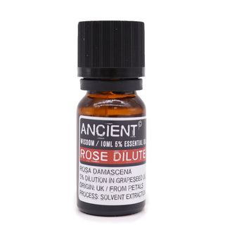 Rose Dilute Essential Oil (10 mL) - Quiet Rituals