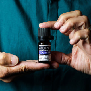 Set of Lavender, Tea Tree & Rosemary Essential Oils - 10ml Each - Quiet Rituals