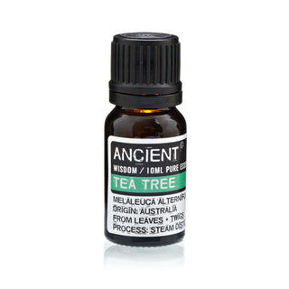 Set of Lavender, Tea Tree & Rosemary Essential Oils - 10ml Each - Quiet Rituals