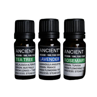 Set of Lavender, Tea Tree & Rosemary Essential Oils - 10ml Each - Quiet Rituals