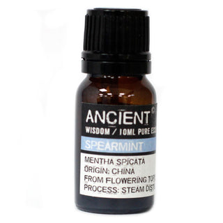 Spearmint Essential Oil (10 mL) - Quiet Rituals