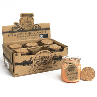 Spiced Orange Soy Pot of Fragrance Candle (x2) - Quiet Rituals