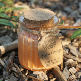 Spiced Orange Soy Pot of Fragrance Candle (x2) - Quiet Rituals