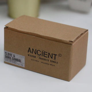 Spiced South Sea Lime - Wooden Wick Concrete Candle - Quiet Rituals