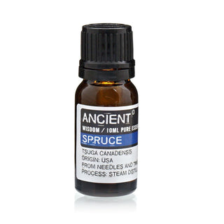 Spruce Essential Oil (10 mL) - Quiet Rituals