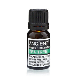 Tea Tree Essential Oil (10 mL) - Bubble & Wick