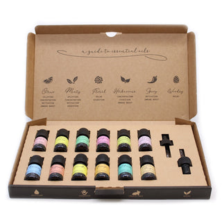 The Top 12 - Aromatherapy Essential Oil Set - Quiet Rituals
