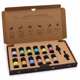 The Top 12 - Aromatherapy Essential Oil Set - Quiet Rituals