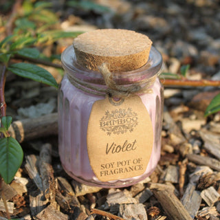 Violet Soy Pot of Fragrance Candle (x2) - Quiet Rituals