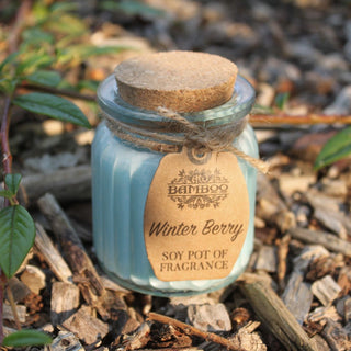 Winter Berry Soy Pot of Fragrance Candle (x2) - Quiet Rituals